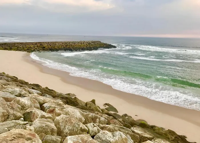 Casa Do Cao Da Do Furadouro Ovar