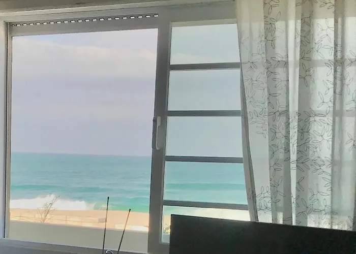 Hébergement de vacances Casa Do Cao Da Do Furadouro