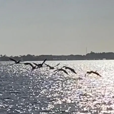 Tatil Evi Casa Do Cao Da Do Furadouro Ovar