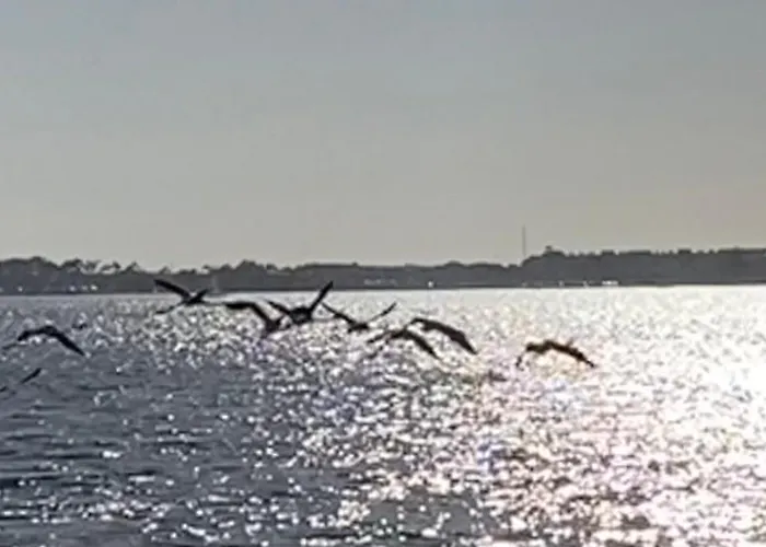 Ferienhaus Casa Do Cao Da Do Furadouro Ovar