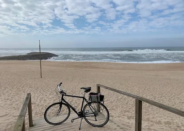Casa Do Cao Da Do Furadouro * Ovar